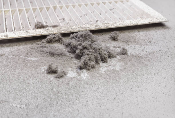 Best Ductwork Cleaning Services  in Mineola, TX
